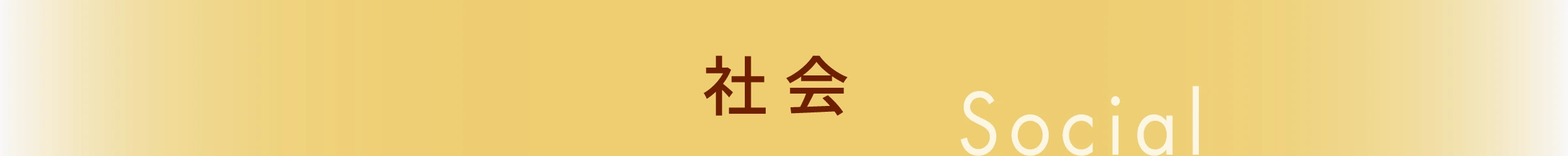 社会